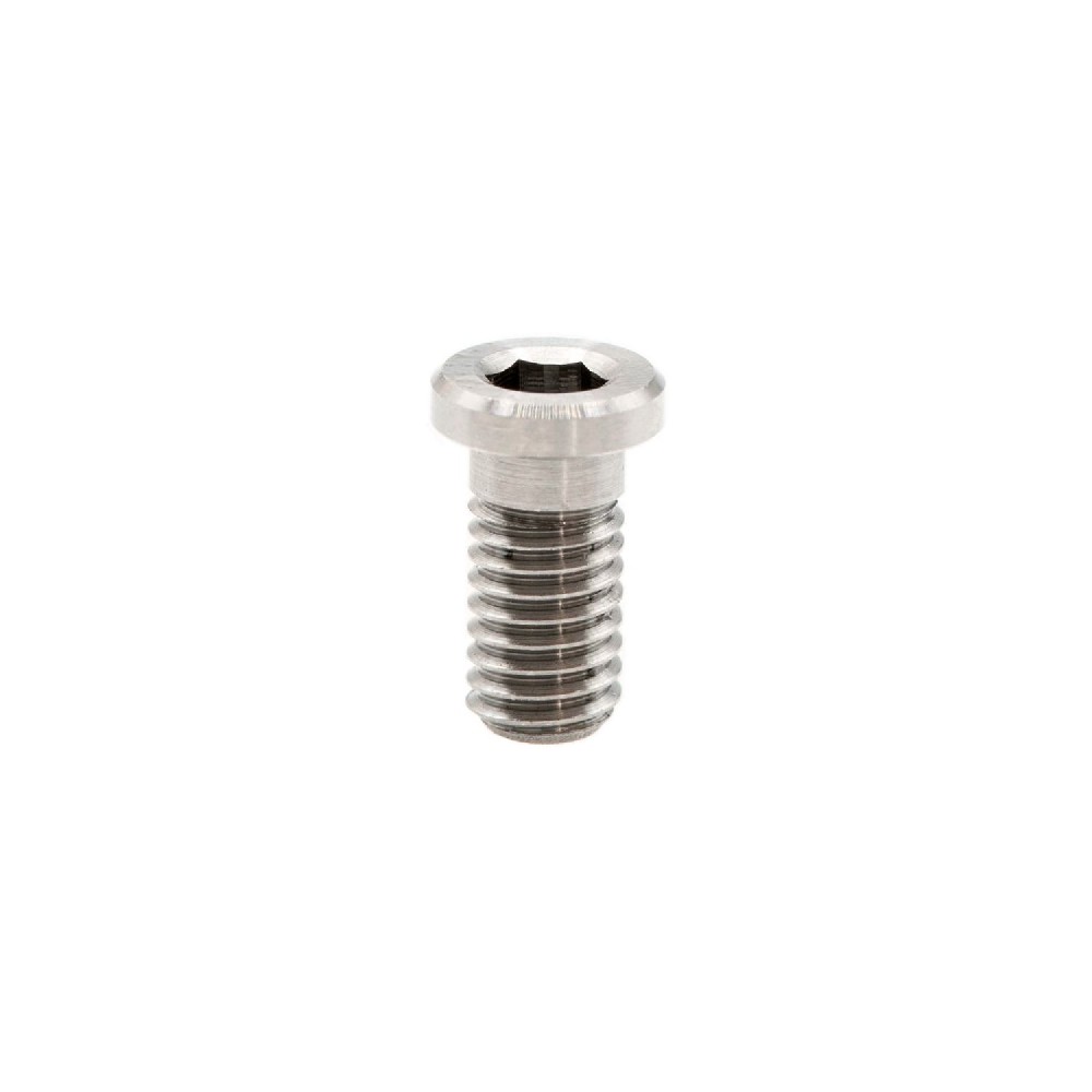 SKINNY Titanium Screw M3×6mm For RC I BJCJTi